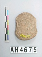 藏品(小砝碼型石網墜)的圖片